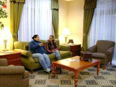 Comfort & Near Hotel